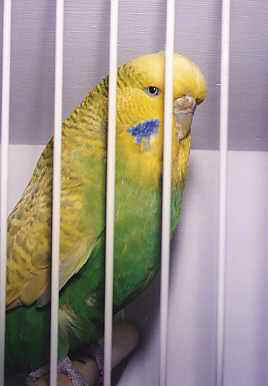 134-3.jpg (10422 bytes)