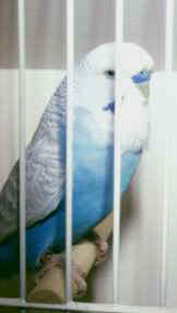 603-6.jpg (6127 bytes)