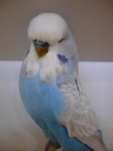 7-6-3.JPG (1095705 bytes)